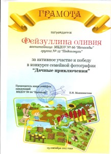 дача 001