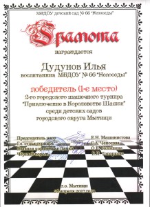 шашки 001
