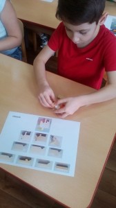 IMG-20190313-WA0001